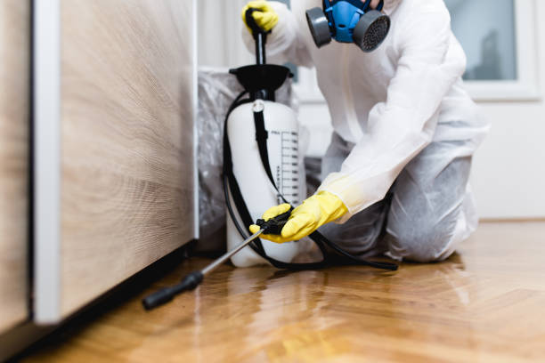 Best Emergency Pest Control  in Glassboro, NJ