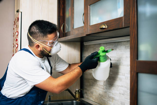 Best Mosquito Control Services  in Glassboro, NJ