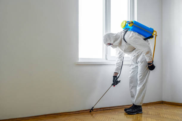 Reliable Glassboro, NJ Pest Control Solutions