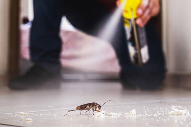 Insect Control in Glassboro, NJ
