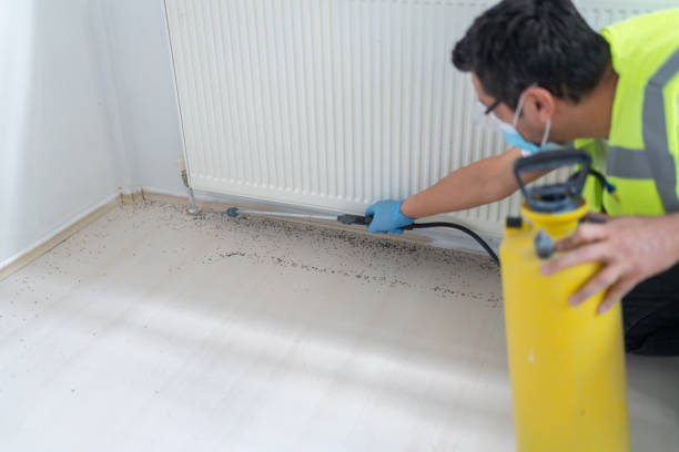 Best Local Pest Control Services  in Glassboro, NJ