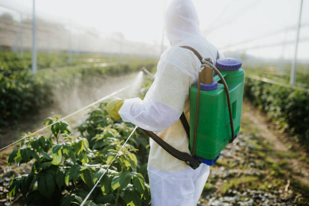 Best Termite Control Services  in Glassboro, NJ